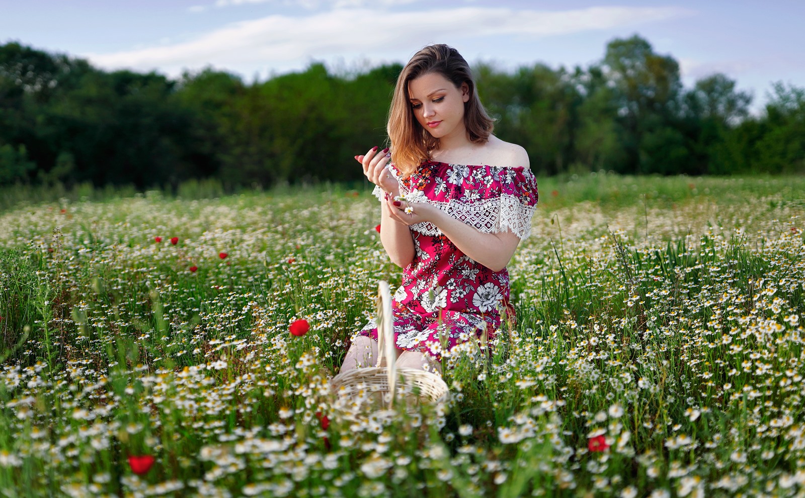 Field 04 1600px